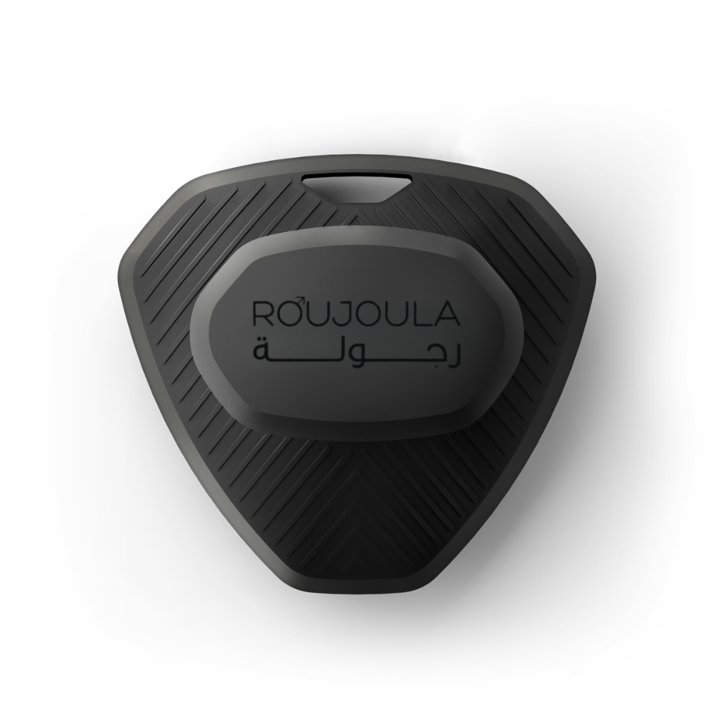 The Scalp Brush® 2.0